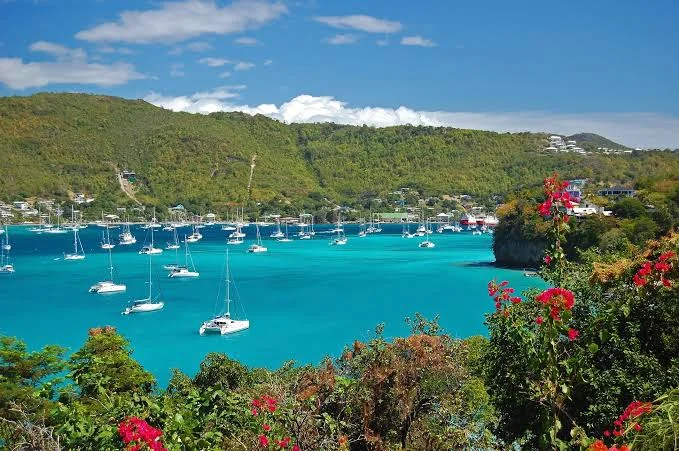 Admiralty Bay — voiliers au mouillage, Bequia